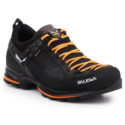 Salewa MS MTN Trainer 2 GTX M shoes 61356-0933
