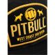 6. PitBull Mesh Dogs Flat Snapback Trucker Cap - 629011918900