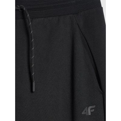 4. Men's jogger sweatpants 4F 4FWMM00TTROM1676-20S