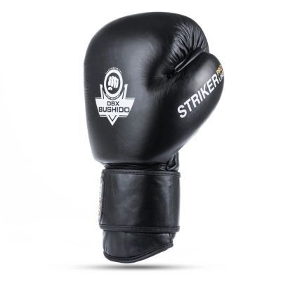6. 10oz Boxing Gloves - Striker - Legacy Series