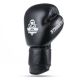 6. 10oz Boxing Gloves - Striker - Legacy Series