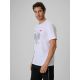 7. Men's fan t-shirt 4F 4FRSS26TTSHM4438-10S