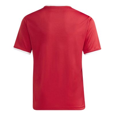 2. adidas Junior Entrada 26 T-shirt JZ2523