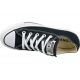 3. Converse C. Taylor All Star OX Black M9166C shoes