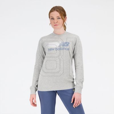 10. New Balance Sport Core Shadow French Terr AG Sweatshirt W WT31816AG