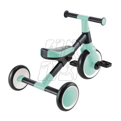 4. LEARNING TRIKE 2in1 (735-206)