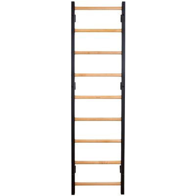 69. GYMNASTIC LADDER, HANDLEBAR AND BENCH BENCHK 733B