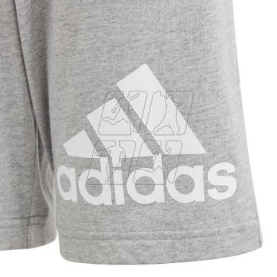 5. Shorts adidas Essentials Big Logo Cotton Shorts Jr HY4720