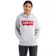 3. Levi&#39;s Graphic Standard Hoodie W 184870020