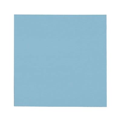 2. Thermal Grizzly Minus Pad Pro 100 x 100 x 2.0 mm