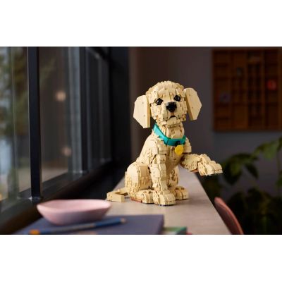 8. LEGO 11384 Icons - Golden Retriever Puppy