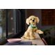 8. LEGO 11384 Icons - Golden Retriever Puppy