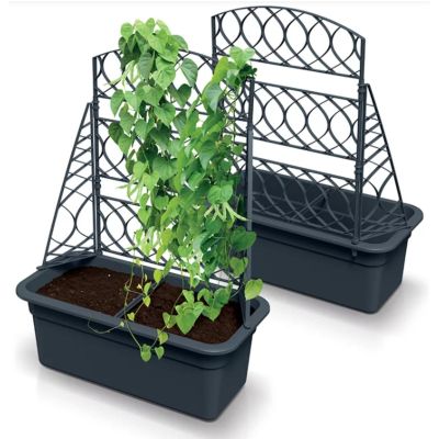 8. BLOMA GRAY STONE FLOWERPOT WITH PERGOLA