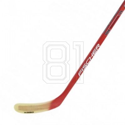 Fischer W350 ABS Sr '20 H15220.60 wooden stick