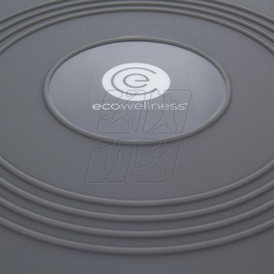 7. ECOWELLNESS QB 014 balancing disk