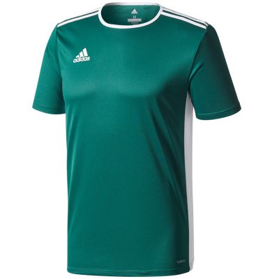 7. adidas Entrada 18 Jr T-shirt CD8358