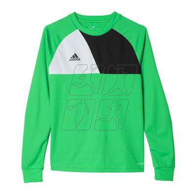 Adidas Assita 17 Jr AZ5406 sweatshirt