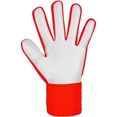 4. Reusch Attrakt Starter Solid 5470514 2210 Goalkeeper Gloves