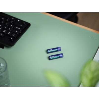7. AA Trust USB-C RECHARGEABLE BATTERIES 2P