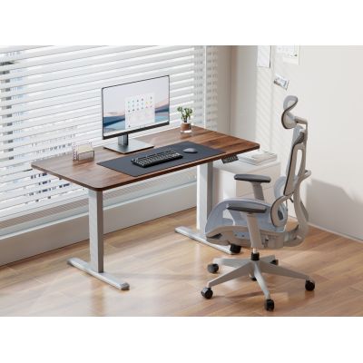 4. Equip 650813 Standing Desk Frame Electric Current 2 x Legs Gray