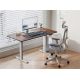 4. Equip 650813 Standing Desk Frame Electric Current 2 x Legs Gray