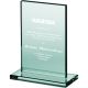 9. Engraved glass trophy