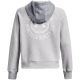 8. Under Armor Rival Fleece CB Hoodie W 1373031 014