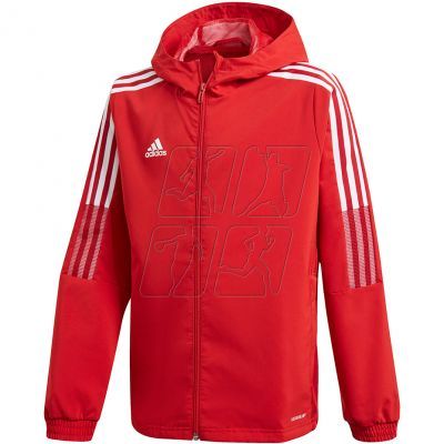 2. Jacket adidas Tiro 21 Windbreaker Jr GP4976