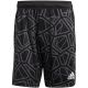 5. adidas Condivo 22 Short M HB1625 goalkeeper shorts