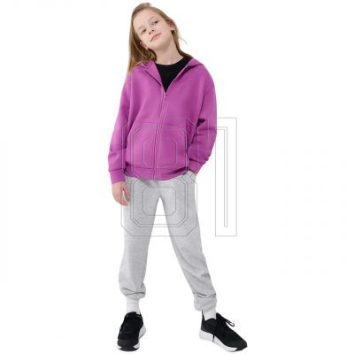 7. Sweatshirt 4F F1853 Jr 4FJWSS25TSWSF1853 50S