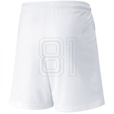 2. Puma teamLIGA Shorts Jr 704931 04