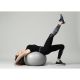 5. 65 cm exercise ball + pump