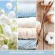 8. Car Air Freshener Bonus Pack CLEAN COTTON YANKEE