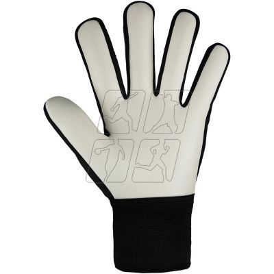 4. Reusch Attrakt Starter Solid goalkeeper gloves 5470514 7700