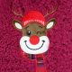 3. XMAS RUBBER HOT WATER BOTTLE 2L RED