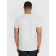 2. Men's regular printed T-shirt 4F 4FRSS25TTSHM2980-27M
