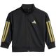 2. adidas Essentials Climacool Kids Tracksuit Black and Gold JC8857