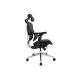 5. Equip Ergonomic Office Chair + Headrest/Armrests Lite Retail