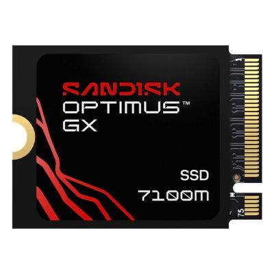 Sandisk Optimus GX 7100M 1TB SSD SDSP71100TAT