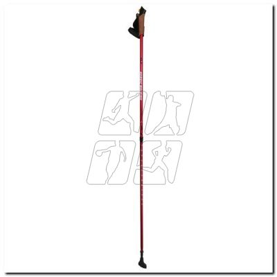 Nordic Walking Poles Nils Extreme NW607 ed