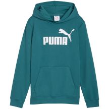 Puma ESS No. 1 Logo Hoodie for Kids Green 684909 41