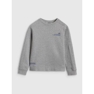 3. 4F JUNIOR sweatshirt 4FJRAW25TSWSM2413-25M