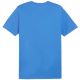 5. Puma Team Goal Casuals Tee M 658615 02