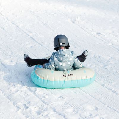 40. Meteor Owl Snow Slide 16765