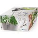 10. HERBS CUT HERB SCISSORS