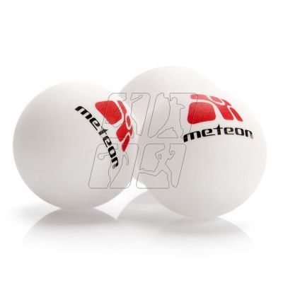 2. Meteor 15029 table tennis set