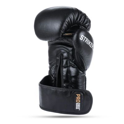 12. 10oz Boxing Gloves - Striker - Legacy Series