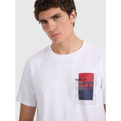 4. Men's regular printed T-shirt 4F 4FRAW25TTSHM3256-10S