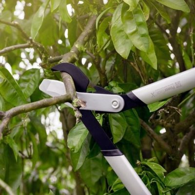 2. Fiskars 1020187 Pruning Shears String Pruner