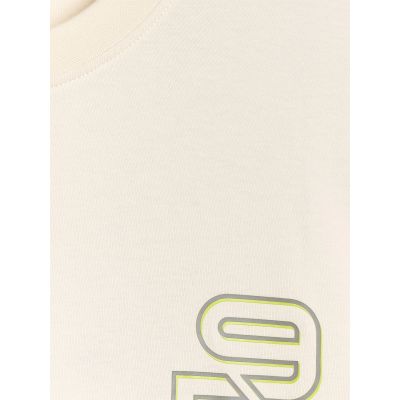 7. Men's oversized printed T-shirt 4F 4FRAW25TTSHM3220-11S